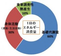 ダウンロード